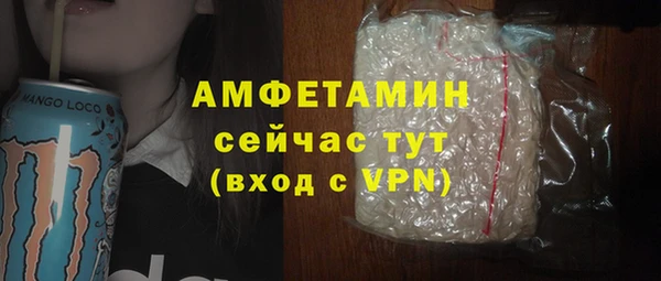 гидра Арсеньев