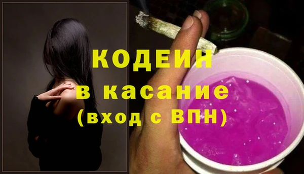 гидра Арсеньев