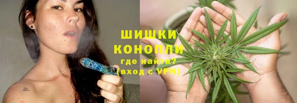 дурь Новодвинск