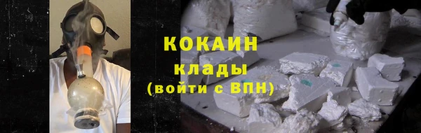 гидра Арсеньев