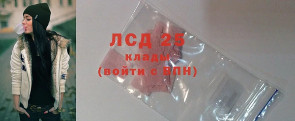 гидра Арсеньев