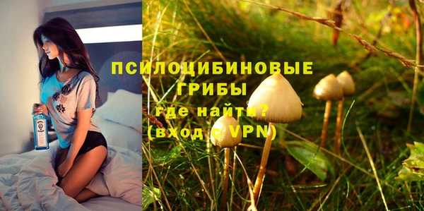 трава Новозыбков