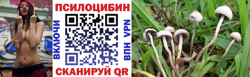 Галлюциногенные грибы мицелий нарко площадка клад Сатка OMG вход